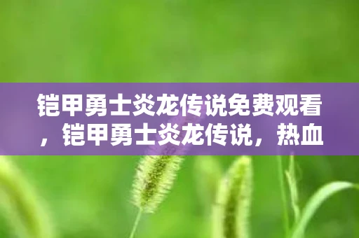 铠甲勇士炎龙传说免费观看,铠甲勇士炎龙传说,热血与荣耀的传奇 铠甲勇士炎龙传说免费观看,铠甲勇士炎龙传说,热血与荣耀的传奇