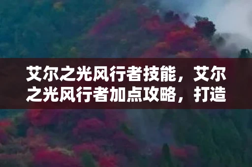 艾尔之光风行者技能，艾尔之光风行者加点攻略，打造最强风行者