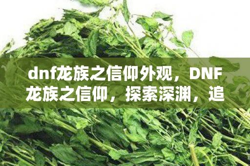 dnf龙族之信仰外观，DNF龙族之信仰，探索深渊，追寻不朽的力量
