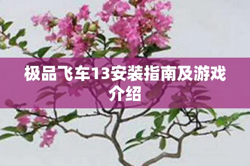 极品飞车13安装指南及游戏介绍图片