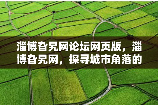 淄博旮旯网论坛网页版，淄博旮旯网，探寻城市角落的宝藏