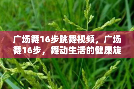 广场舞16步跳舞视频，广场舞16步，舞动生活的健康旋律