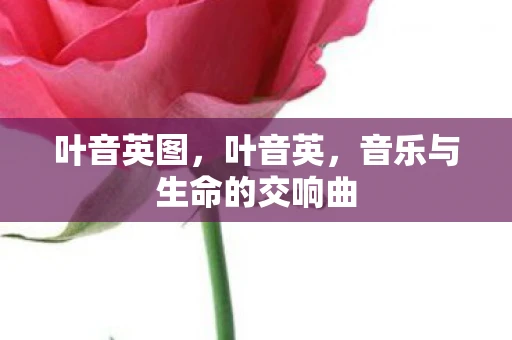 叶音英图,叶音英,音乐与生命的交响曲 叶音英图,叶音英,音乐与生命的交响曲