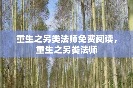 重生之另类法师免费阅读，重生之另类法师