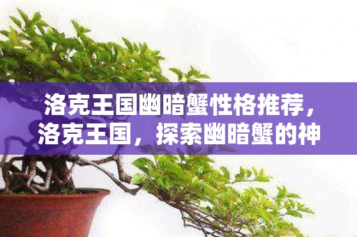洛克王国幽暗蟹性格推荐，洛克王国，探索幽暗蟹的神秘世界