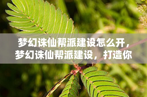 梦幻诛仙帮派建设怎么开,梦幻诛仙帮派建设,打造你的仙侠世界 梦幻诛仙帮派建设怎么开,梦幻诛仙帮派建设,打造你的仙侠世界