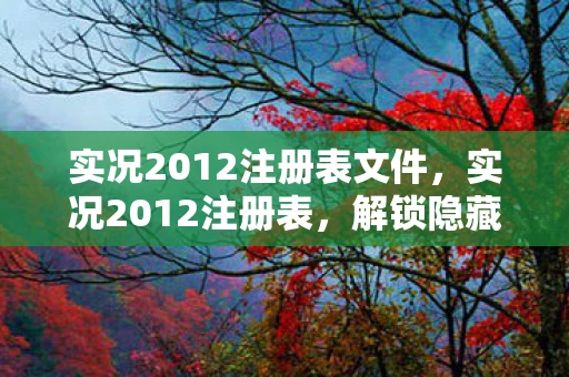实况2012注册表文件，实况2012注册表，解锁隐藏功能，提升游戏体验