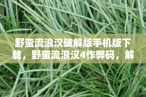 野蛮流浪汉破解版手机版下载，野蛮流浪汉4作弊码，解锁游戏隐藏功能的秘籍