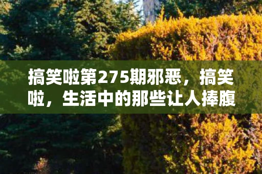 搞笑啦第275期邪恶，搞笑啦，生活中的那些让人捧腹的瞬间