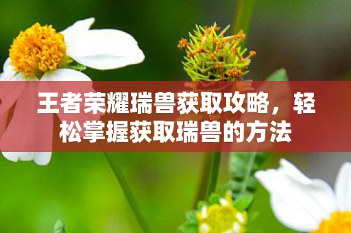 轻松掌握获取瑞兽的方法图片