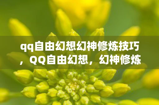 qq自由幻想幻神修炼技巧，QQ自由幻想，幻神修炼之路