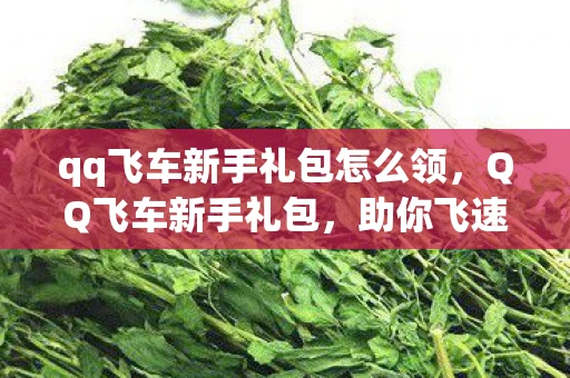 qq飞车新手礼包怎么领,QQ飞车新手礼包,助你飞速成长的必备指南 qq飞车新手礼包怎么领,QQ飞车新手礼包,助你飞速成长的必备指南
