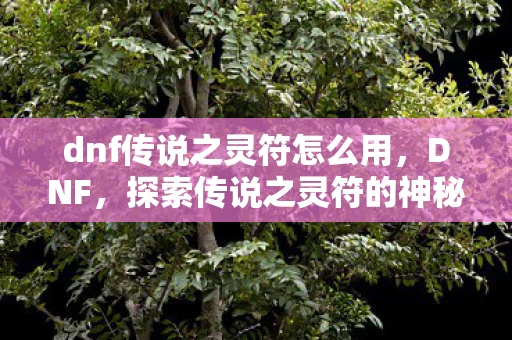 dnf传说之灵符怎么用,DNF,探索传说之灵符的神秘之旅 dnf传说之灵符怎么用,DNF,探索传说之灵符的神秘之旅