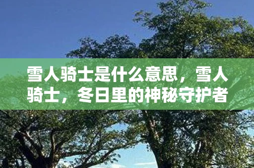 雪人骑士是什么意思,雪人骑士,冬日里的神秘守护者 雪人骑士是什么意思,雪人骑士,冬日里的神秘守护者
