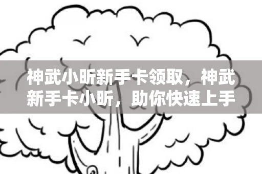 神武小昕新手卡领取，神武新手卡小昕，助你快速上手的秘密武器