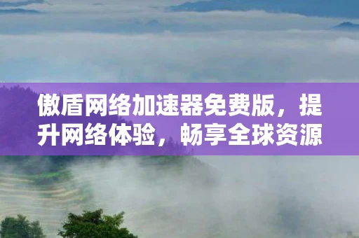 傲盾网络加速器免费版，提升网络体验，畅享全球资源