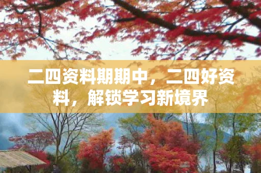 二四资料期期中，二四好资料，解锁学习新境界