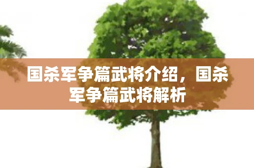 国杀军争篇武将介绍，国杀军争篇武将解析