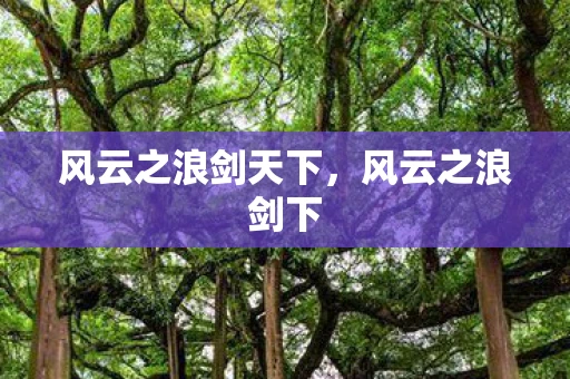 风云之浪剑天下，风云之浪剑下