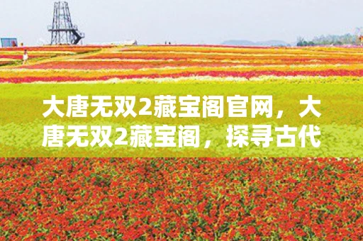 大唐无双2藏宝阁官网，大唐无双2藏宝阁，探寻古代宝藏的奇幻之旅