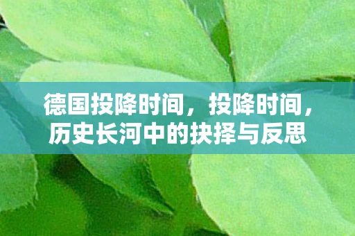 德国投降时间，投降时间，历史长河中的抉择与反思