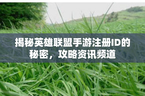 揭秘英雄联盟手游注册ID的秘密图片