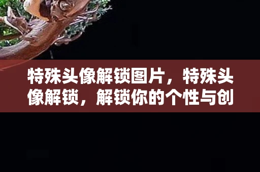 特殊头像解锁图片，特殊头像解锁，解锁你的个性与创意