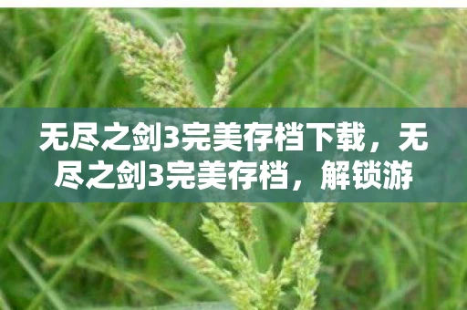 无尽之剑3完美存档下载,无尽之剑3完美存档,解锁游戏巅峰的秘籍 无尽之剑3完美存档下载,无尽之剑3完美存档,解锁游戏巅峰的秘籍