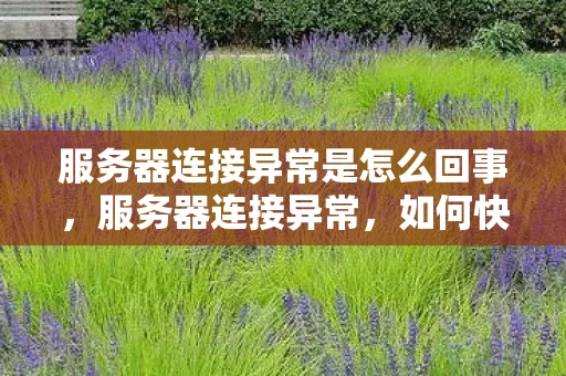 服务器连接异常是怎么回事，服务器连接异常，如何快速诊断与解决
