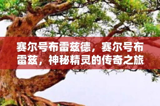 赛尔号布雷兹德，赛尔号布雷兹，神秘精灵的传奇之旅