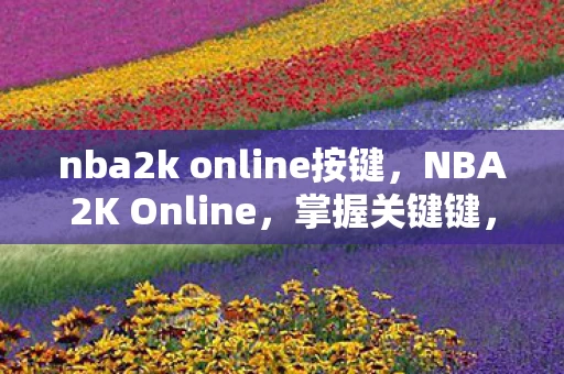 nba2k online按键,NBA2K Online,掌握关键键,提升你的游戏水平 nba2k online按键,NBA2K Online,掌握关键键,提升你的游戏水平
