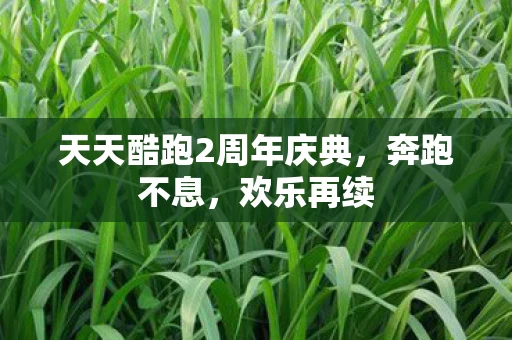 天天酷跑2周年庆典图片