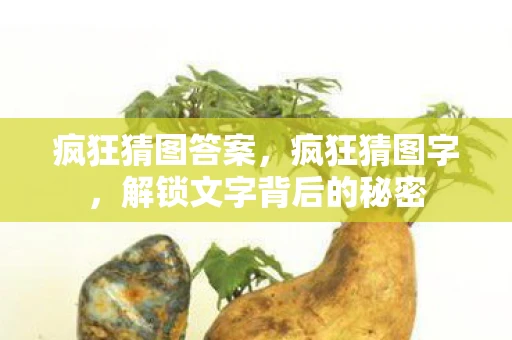 疯狂猜图答案，疯狂猜图字，解锁文字背后的秘密