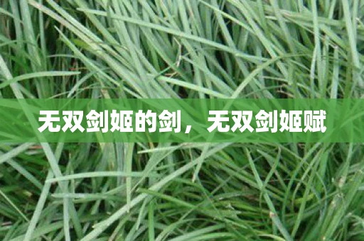 无双剑姬的剑，无双剑姬赋