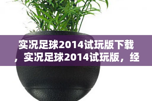 实况足球2014试玩版下载,实况足球2014试玩版,经典再现,激情依旧 实况足球2014试玩版下载,实况足球2014试玩版,经典再现,激情依旧