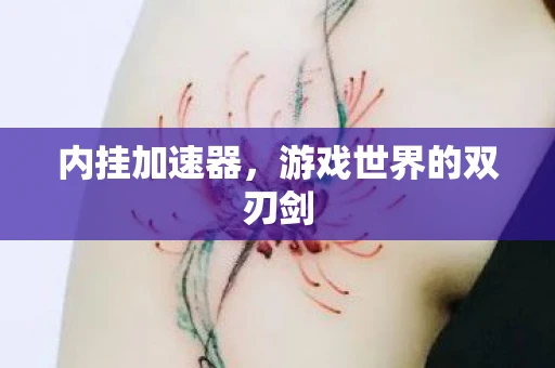 内挂加速器，游戏世界的双刃剑
