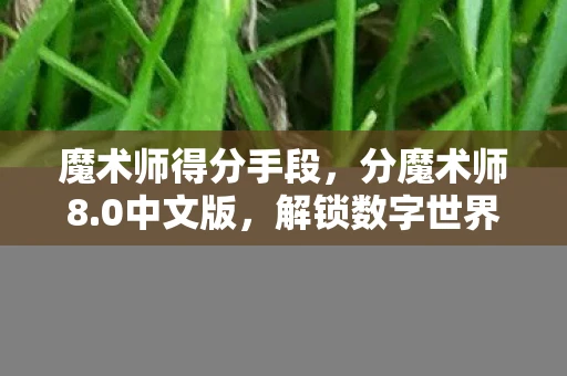 魔术师得分手段，分魔术师8.0中文版，解锁数字世界的神秘钥匙