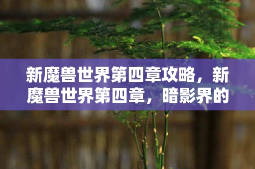 新魔兽世界第四章攻略，新魔兽世界第四章，暗影界的崛起