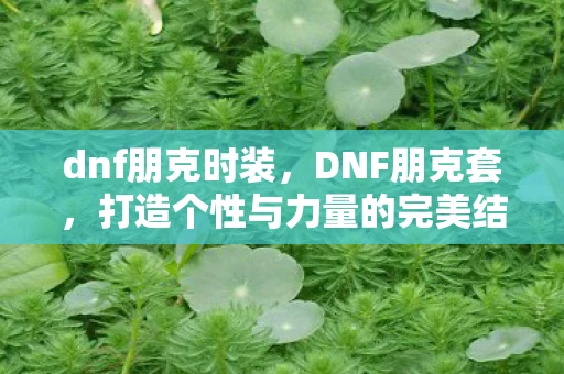 dnf朋克时装,DNF朋克套,打造个性与力量的完美结合 dnf朋克时装,DNF朋克套,打造个性与力量的完美结合