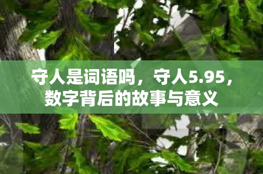 守人是词语吗,守人5.95,数字背后的故事与意义 守人是词语吗,守人5.95,数字背后的故事与意义