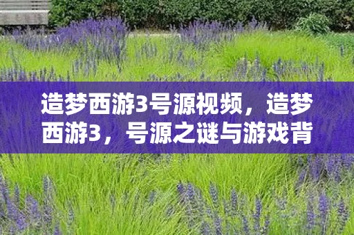 造梦西游3号源视频，造梦西游3，号源之谜与游戏背后的故事