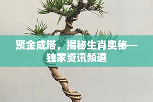 揭秘生肖奥秘图片