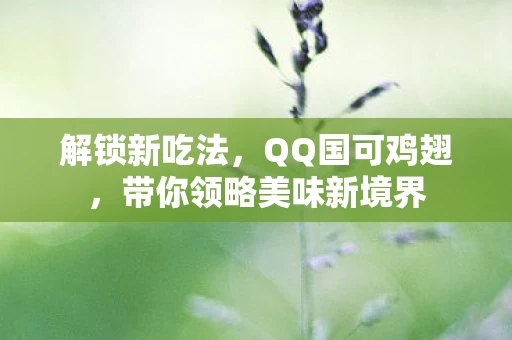 解锁新吃法，QQ国可鸡翅，带你领略美味新境界