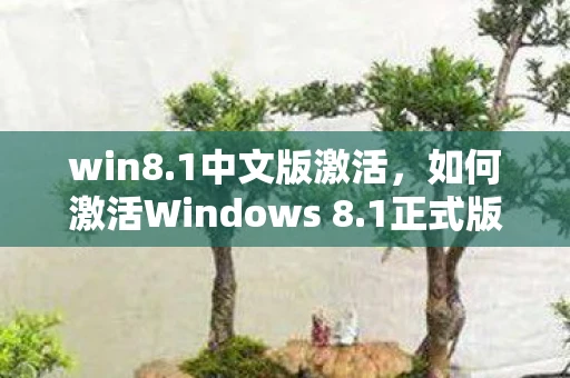 win8.1中文版激活，如何激活Windows 8.1正式版