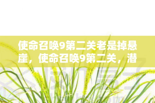 使命召唤9第二关老是掉悬崖，使命召唤9第二关，潜入敌后，揭开真相