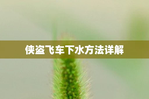 侠盗飞车下水方法详解图片