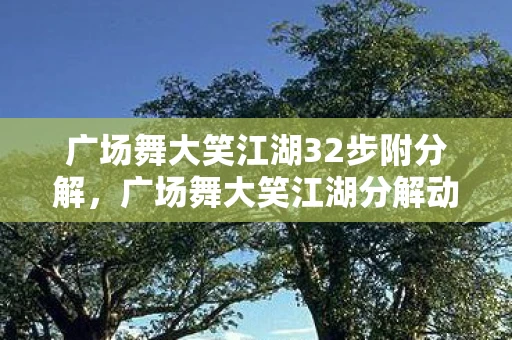 广场舞大笑江湖32步附分解，广场舞大笑江湖分解动作详解