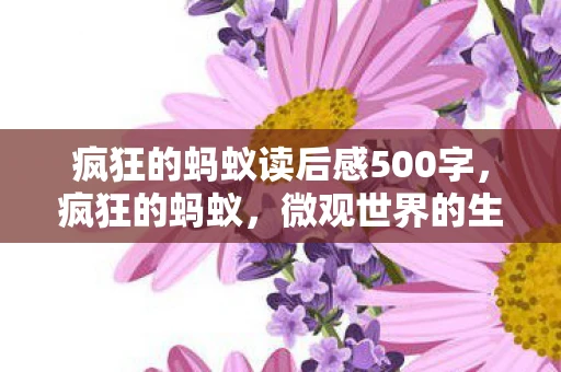 疯狂的蚂蚁读后感500字，疯狂的蚂蚁，微观世界的生存智慧