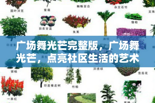 广场舞光芒完整版,广场舞光芒,点亮社区生活的艺术之光 广场舞光芒完整版,广场舞光芒,点亮社区生活的艺术之光