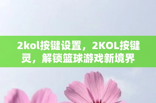 2kol按键设置，2KOL按键灵，解锁篮球游戏新境界